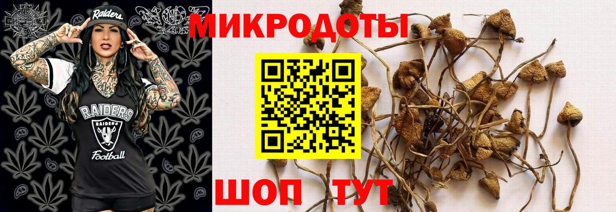 Галлюциногенные грибы мицелий Стрежевой