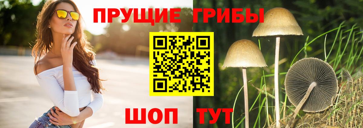 Галлюциногенные грибы MAGIC MUSHROOMS  Вход с VPN  Галлюциногенные грибы Psilocybine cubensis  Стрежевой 